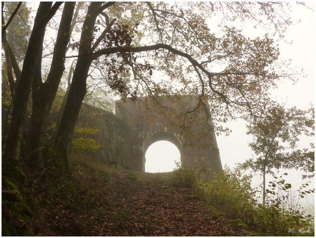 Der Weg zu dem ehemaligen Ehrenmal ,