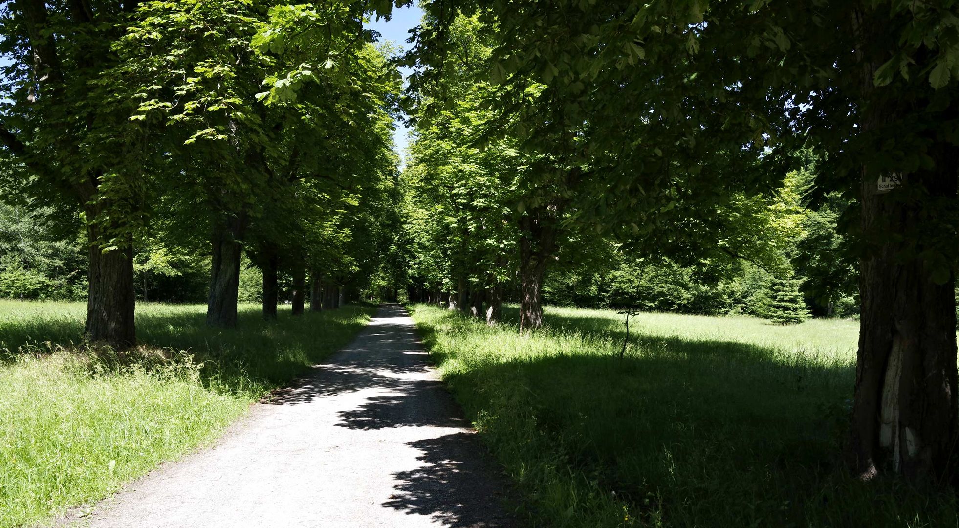 der Weg zu den Bärenseen....