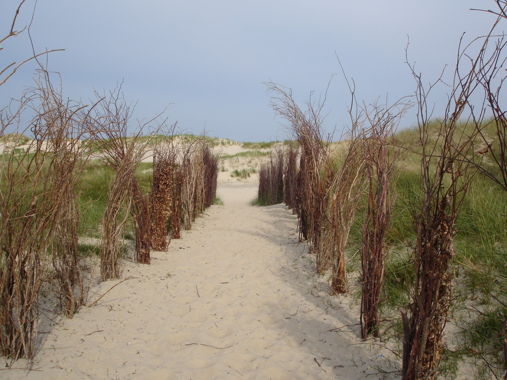 Der Weg zu den Dünen