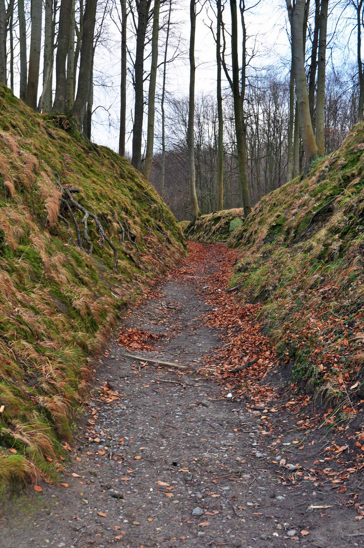 Der Weg ... zu den Orcs