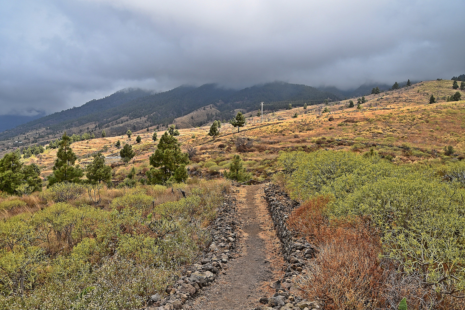 Der Weg zu den Petroglyphen in El Paso / La Palma
