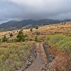 Der Weg zu den Petroglyphen in El Paso / La Palma