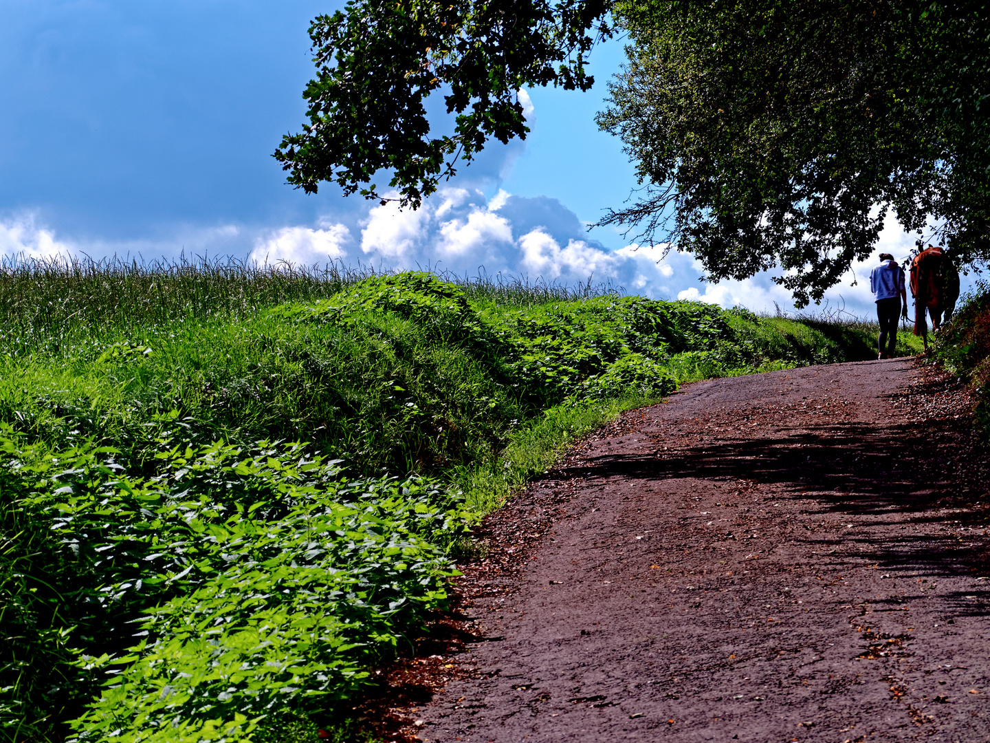 Der Weg zu den Wolkenbergen