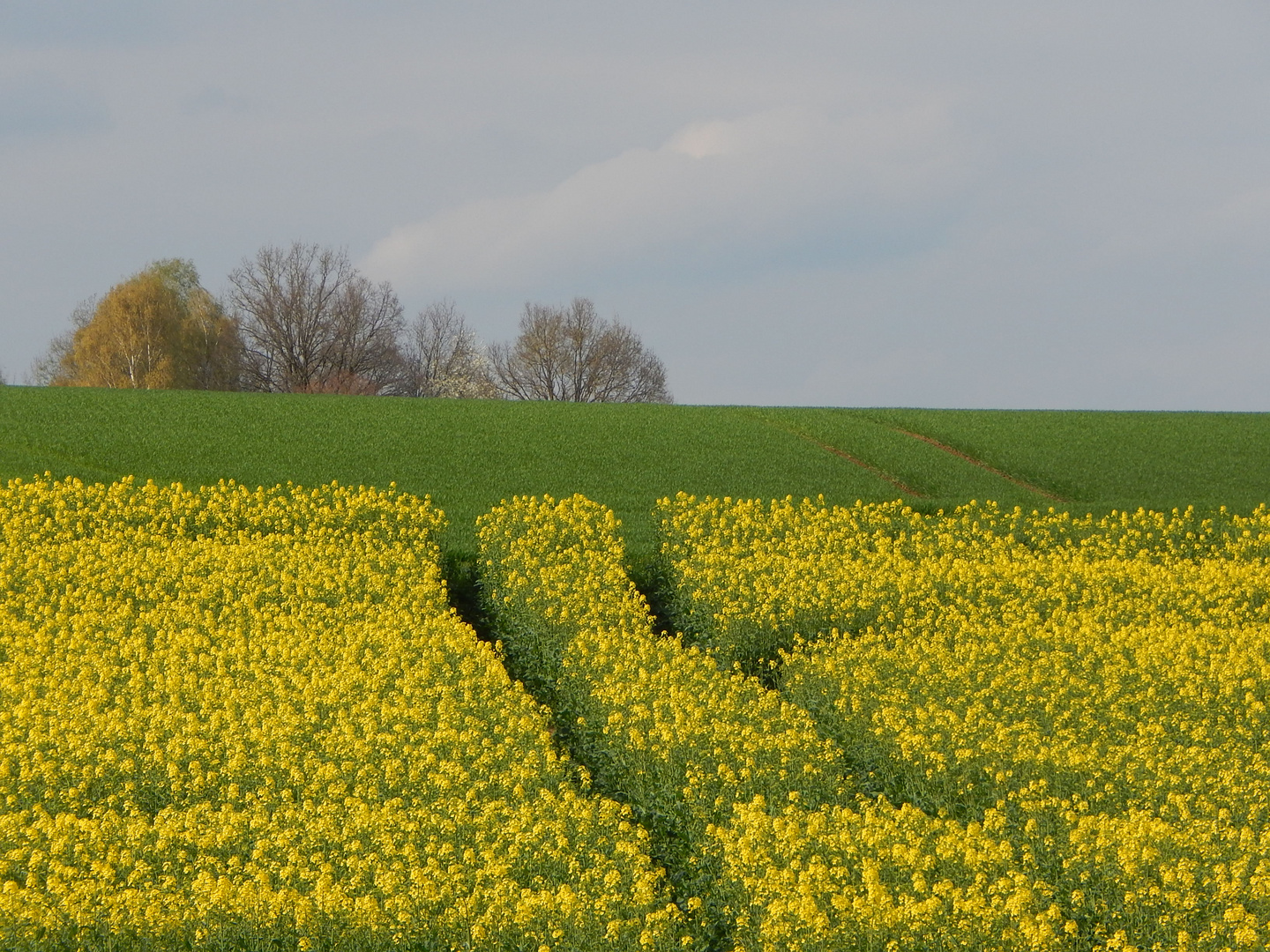 Der Weg zu dir selbst