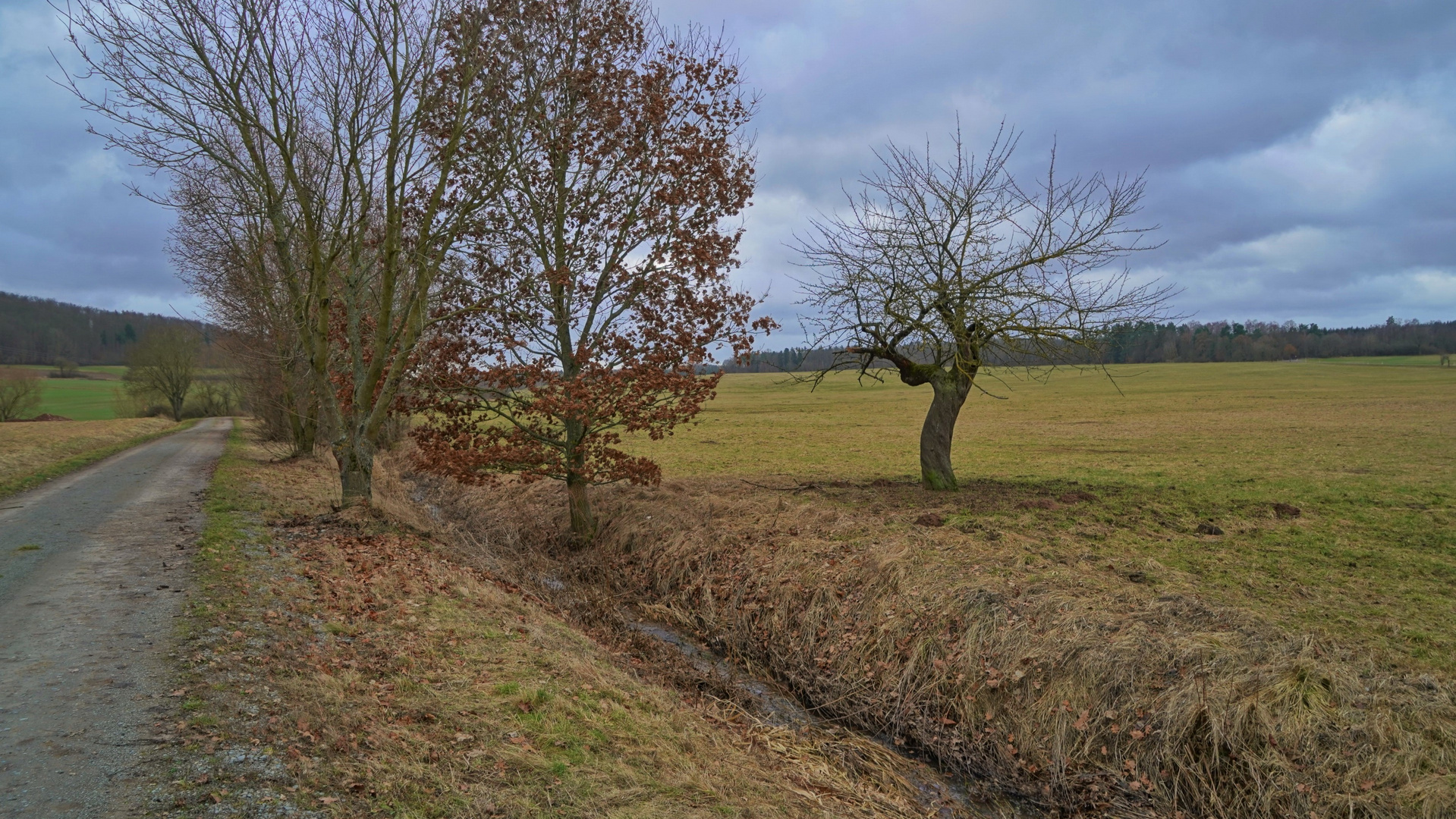 der Weg zu unserem See