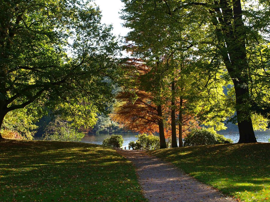 Der Weg zu Wasser