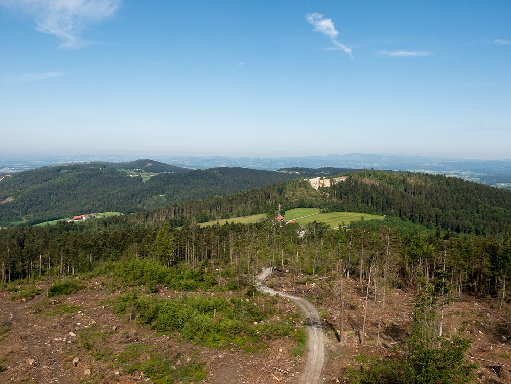 Der Weg zum Aussichtsturm