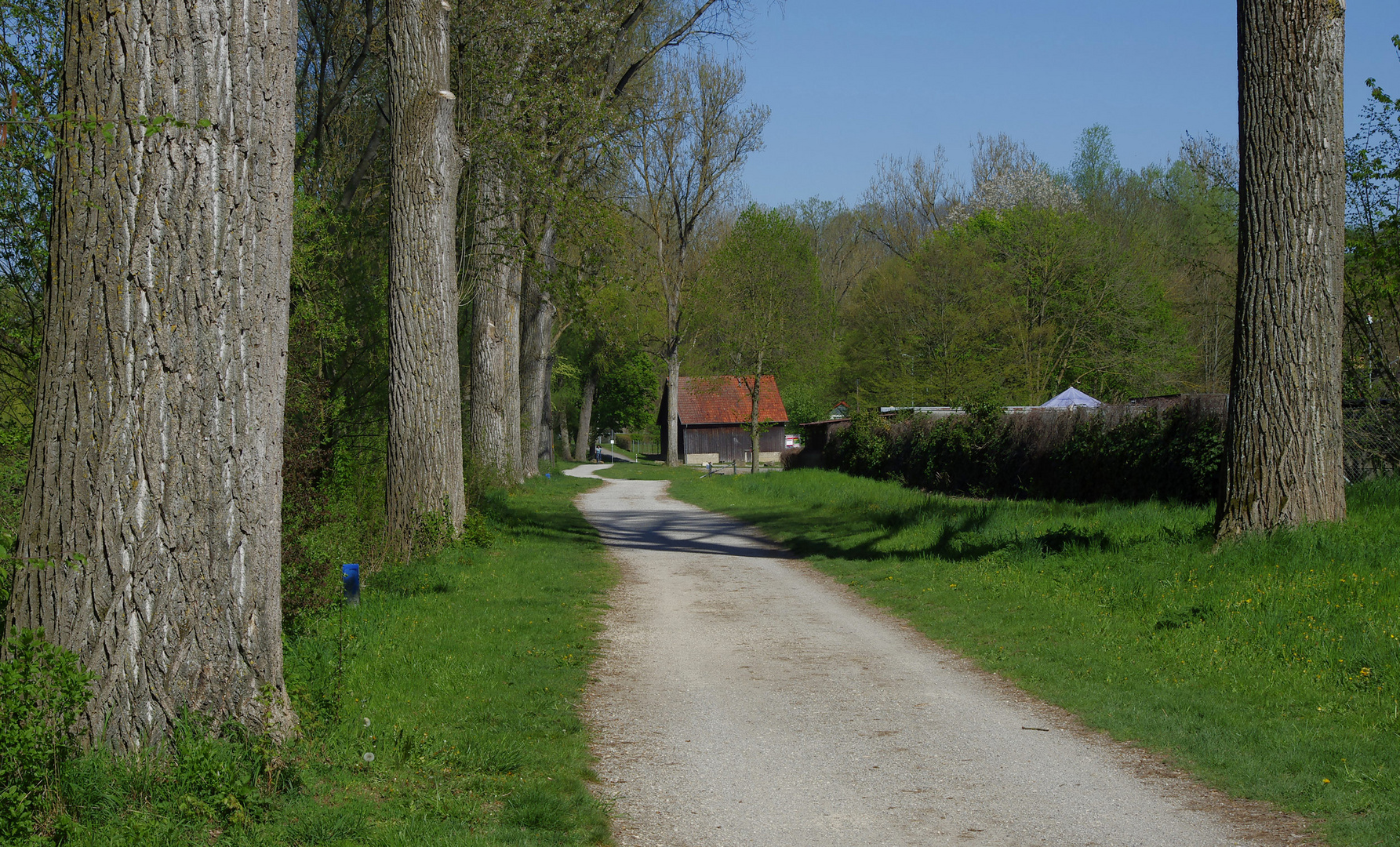 ..der Weg zum Baggersee