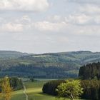 Der Weg zum Baum