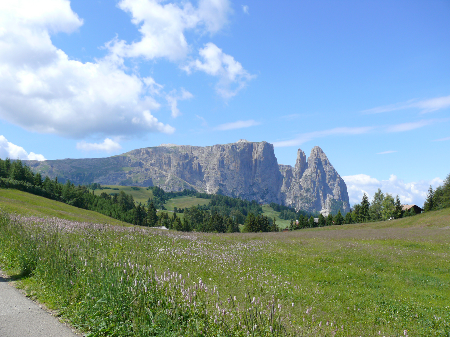 Der Weg zum Berg