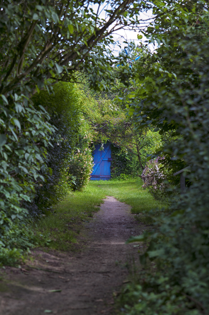 Der Weg zum blauen Tor