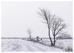 der Weg zum Bodden