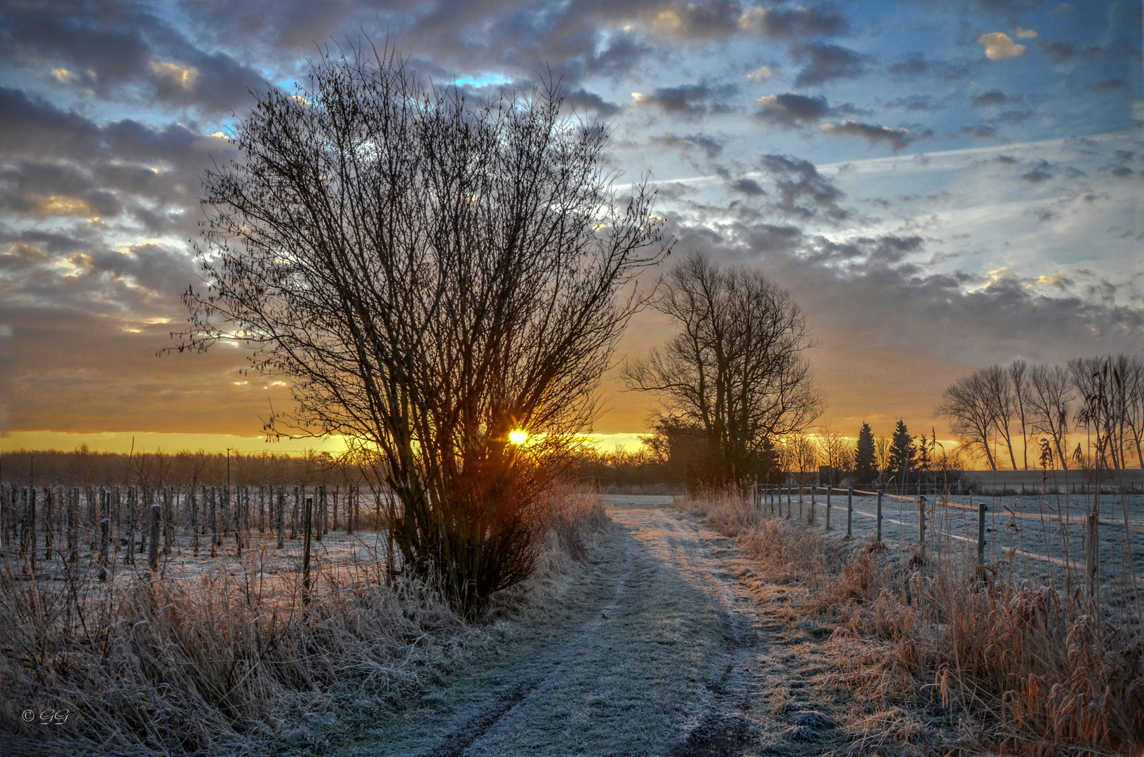 Der Weg zum Deich