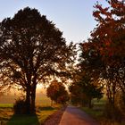 Der Weg zum Dorf zurück