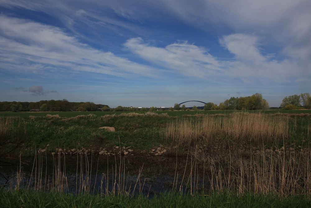 der Weg zum Elbufer