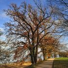 Der Weg zum Fährhafen