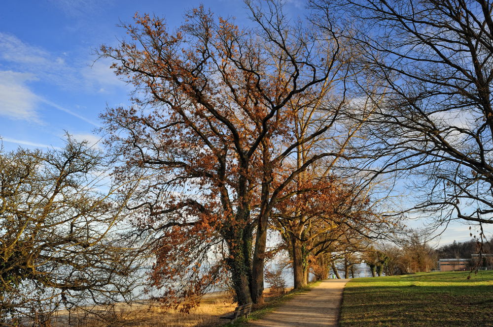 Der Weg zum Fährhafen