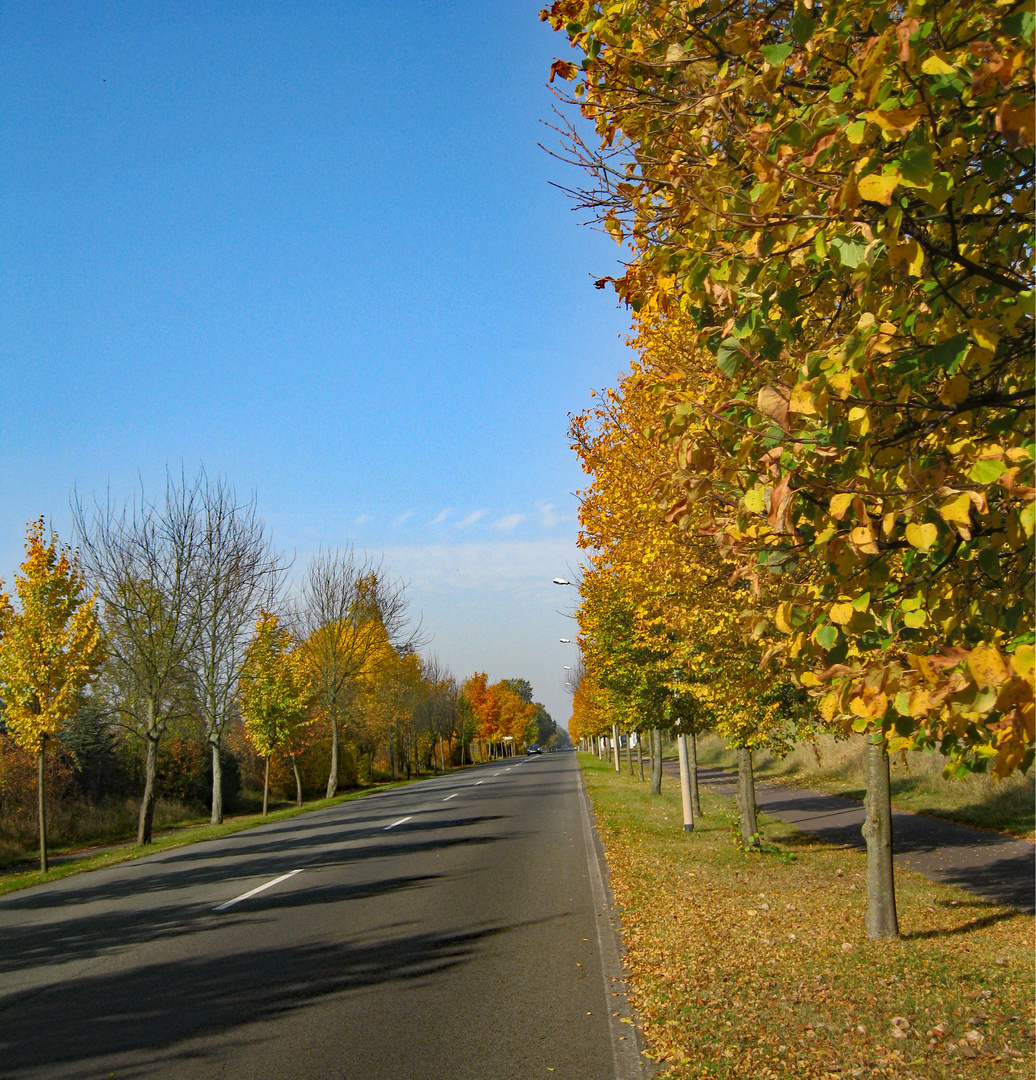 Der Weg zum Flugplatz Stendal