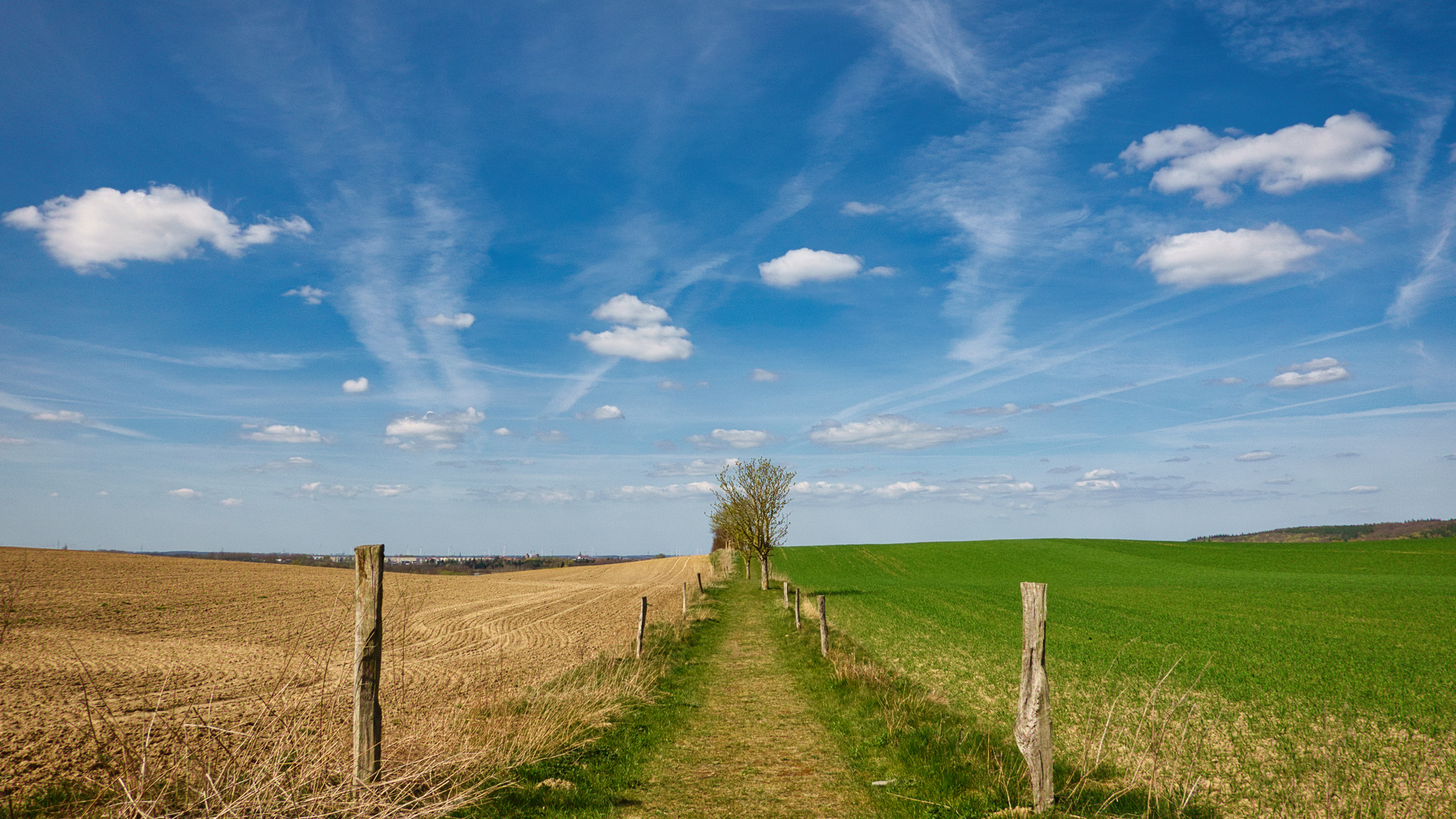 Der Weg zum Frühling