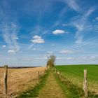 Der Weg zum Frühling