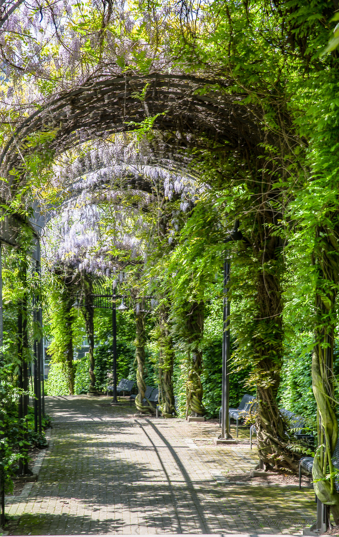 Der Weg zum Garten Eden