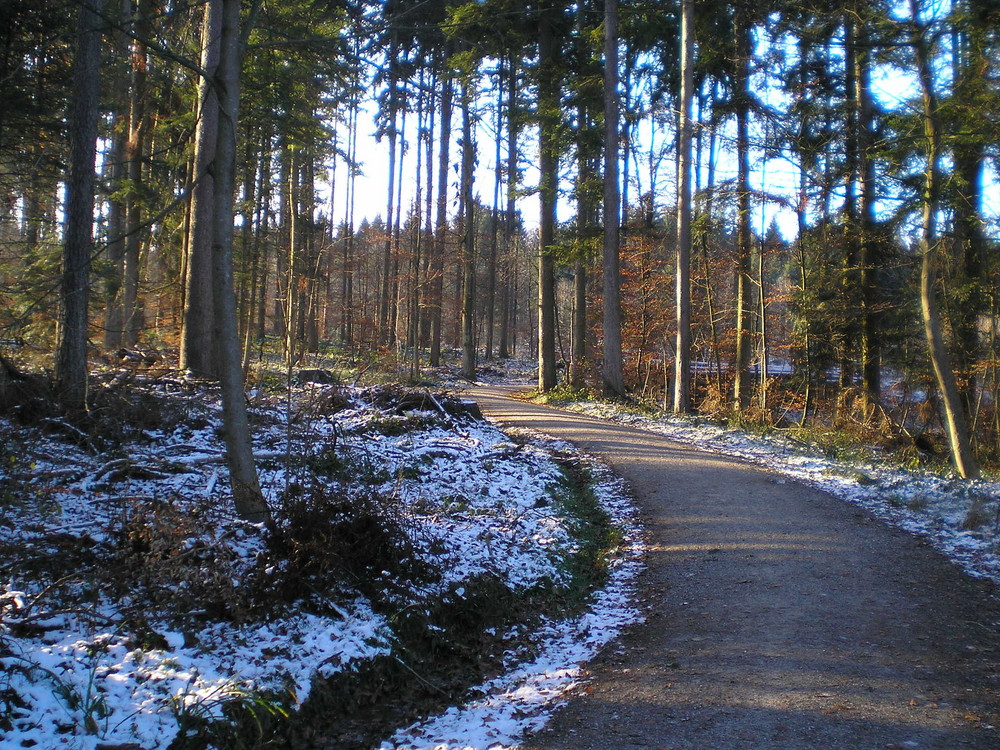 Der Weg zum Geeren