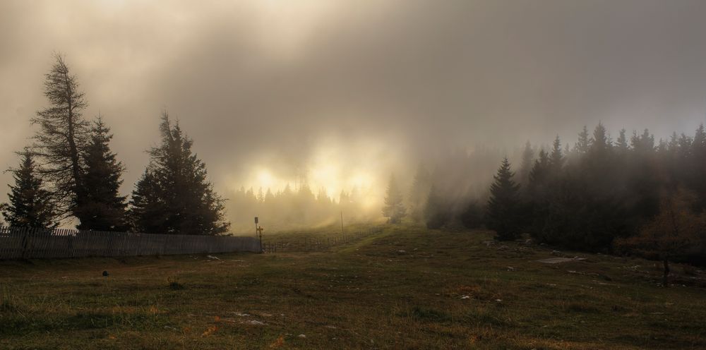 Der Weg zum Gipfel durch den Nebel