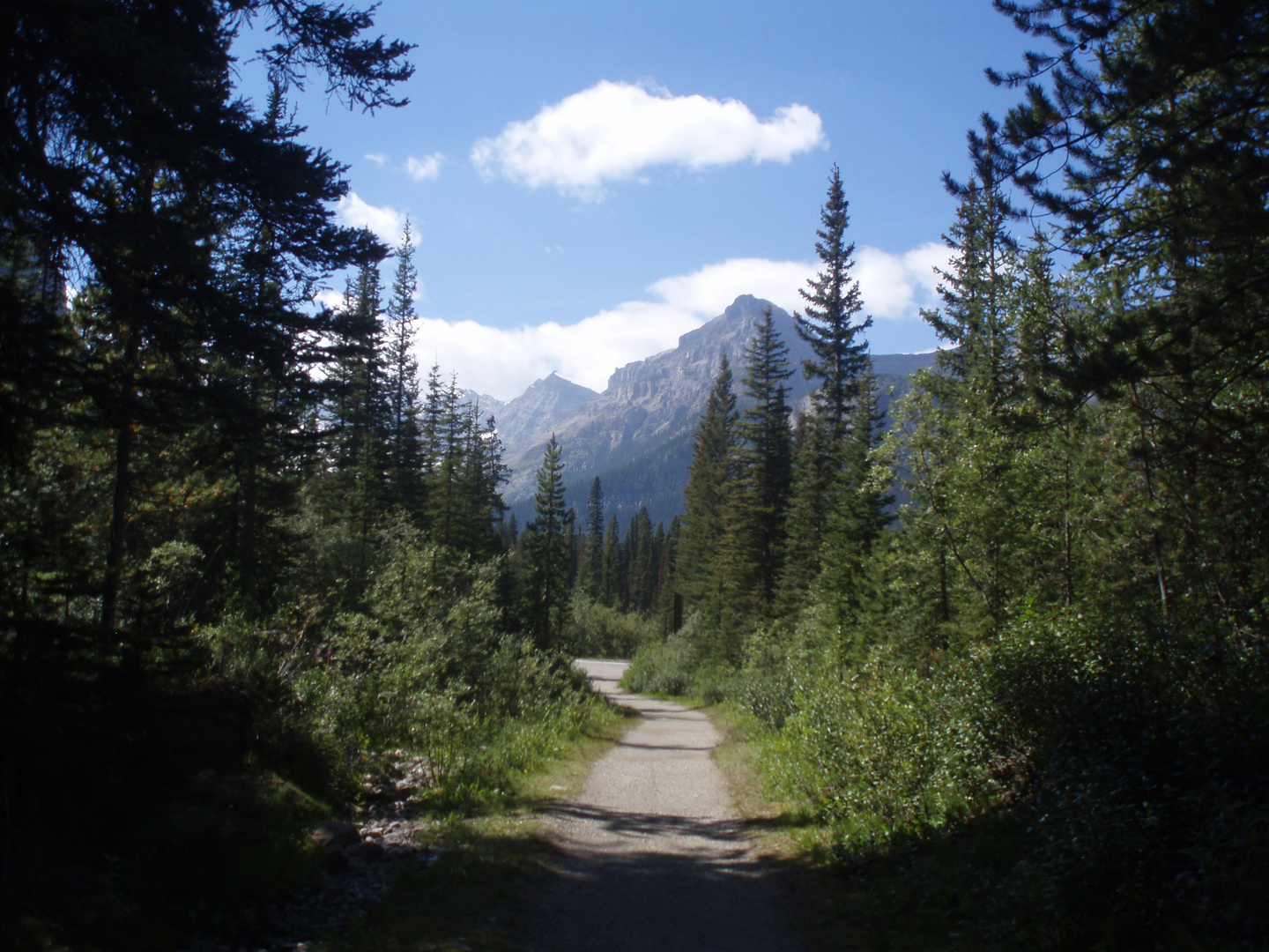 Der Weg zum Gletscher und zum See