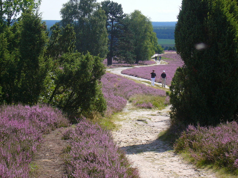 Der Weg zum Glück!