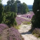 Der Weg zum Glück!