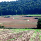 Der Weg zum Glück?