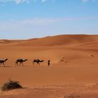 Der Weg zum Glück führt durch die Wüste