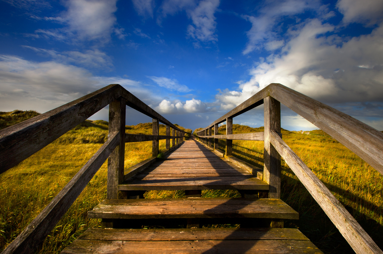 Der Weg zum Glücklich sein