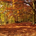 Der Weg zum goldenen Oktober.