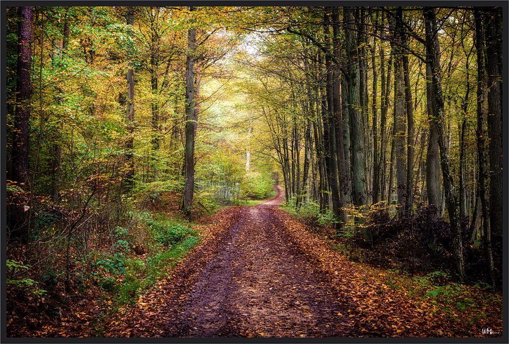 Der Weg zum grünen Baum