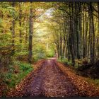 Der Weg zum grünen Baum