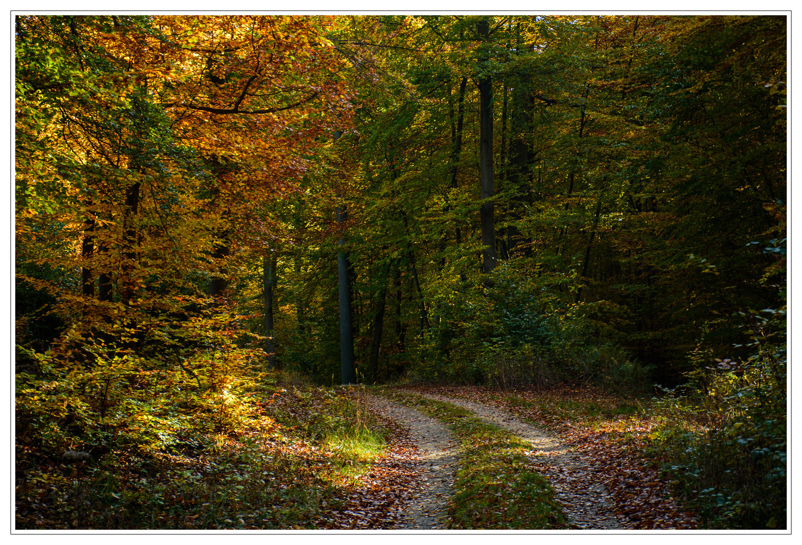 Der Weg zum Herbst