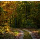 Der Weg zum Herbst