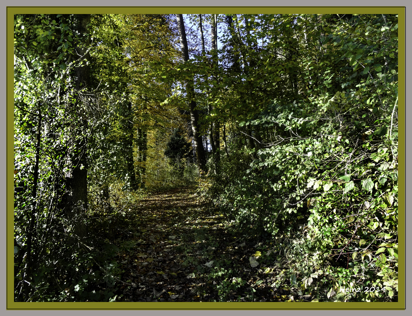 der Weg zum Herbst