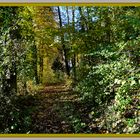 der Weg zum Herbst