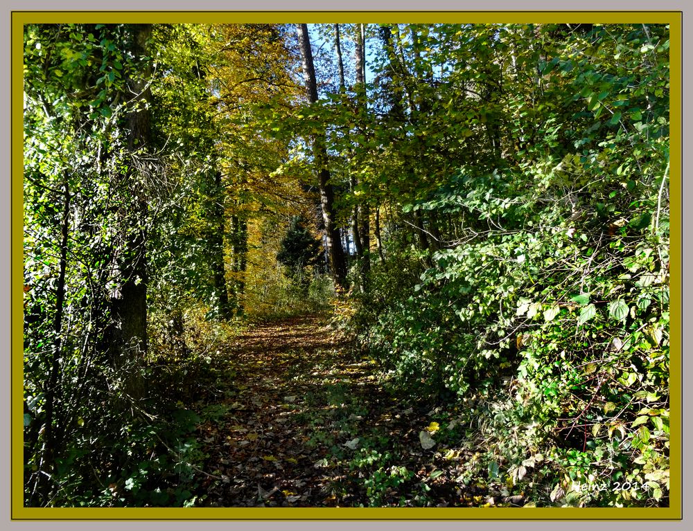 der Weg zum Herbst