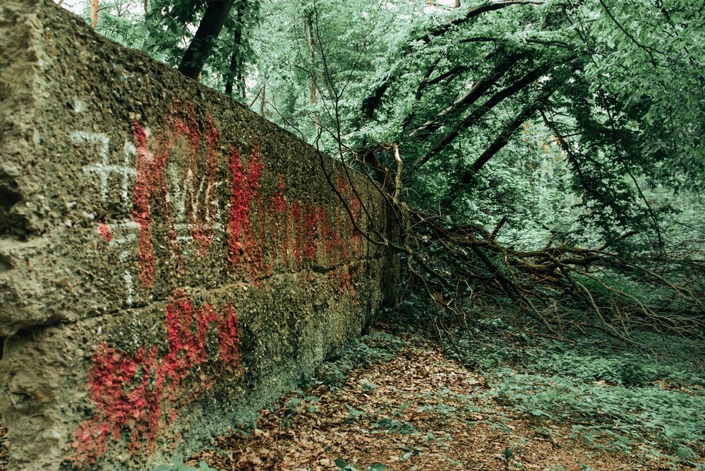 Der Weg zum Hexenhäuschen