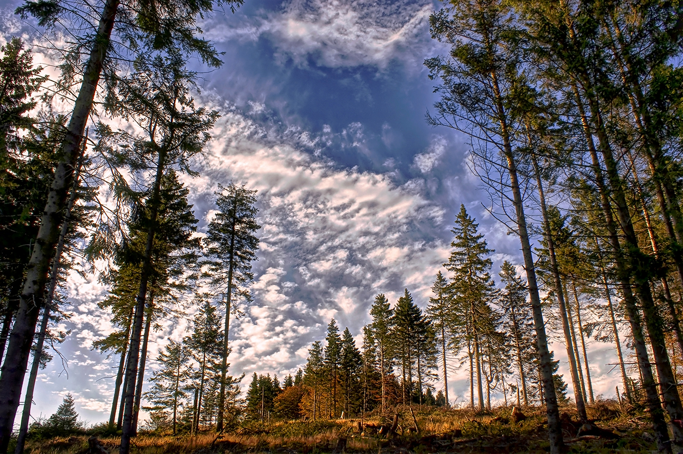 Der Weg zum Himmel