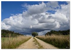 der Weg zum Himmel