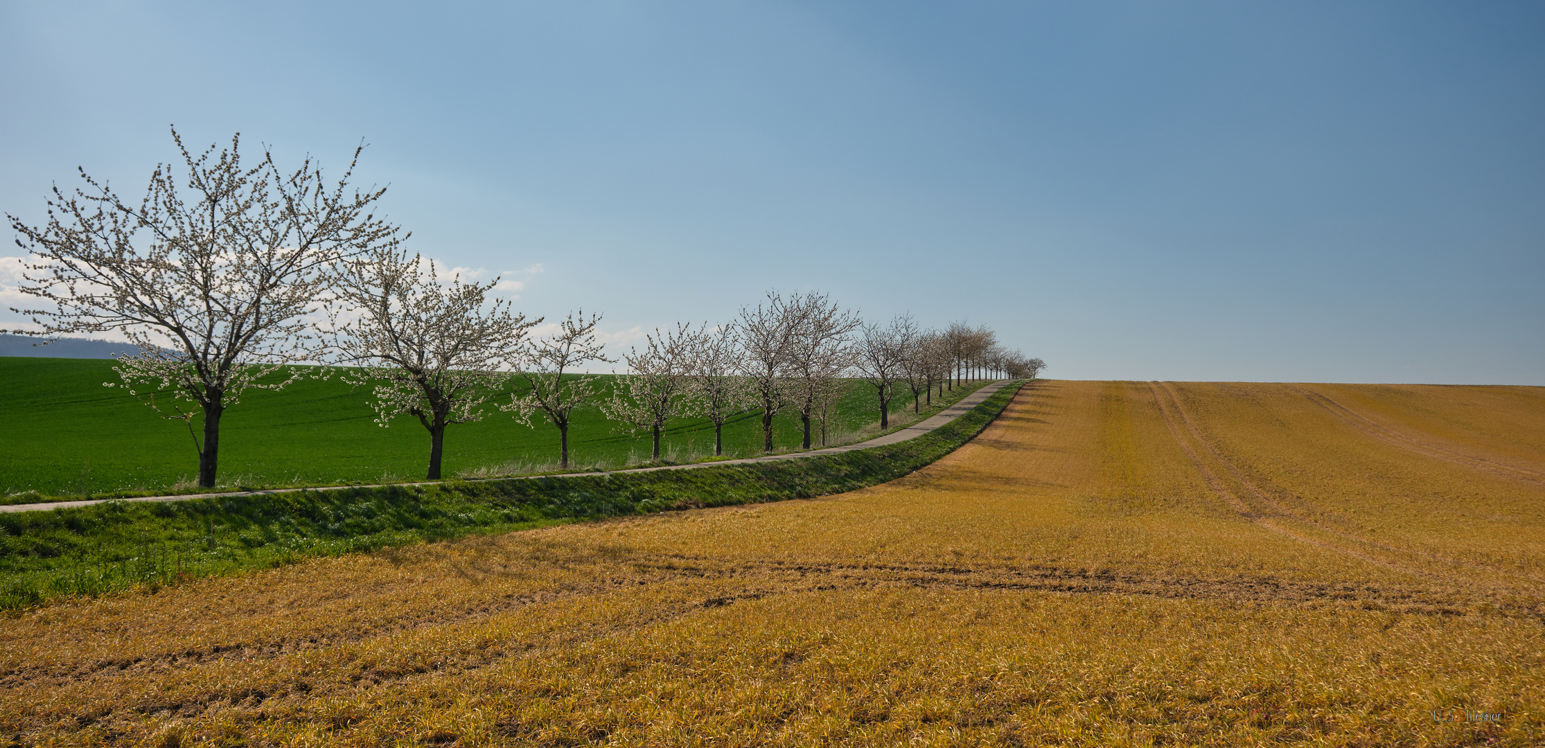 Der Weg zum Horizont