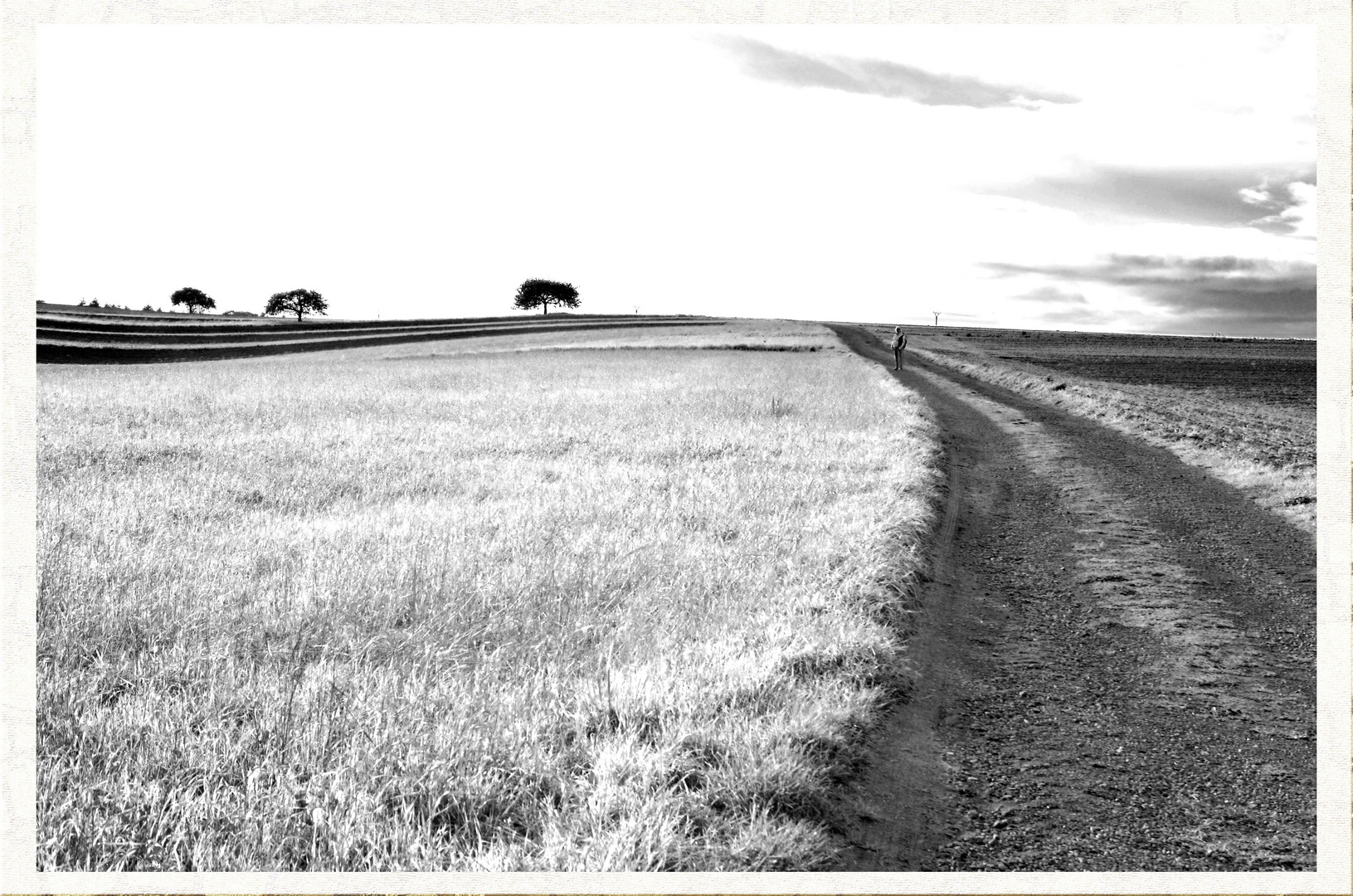 Der Weg zum Horizont