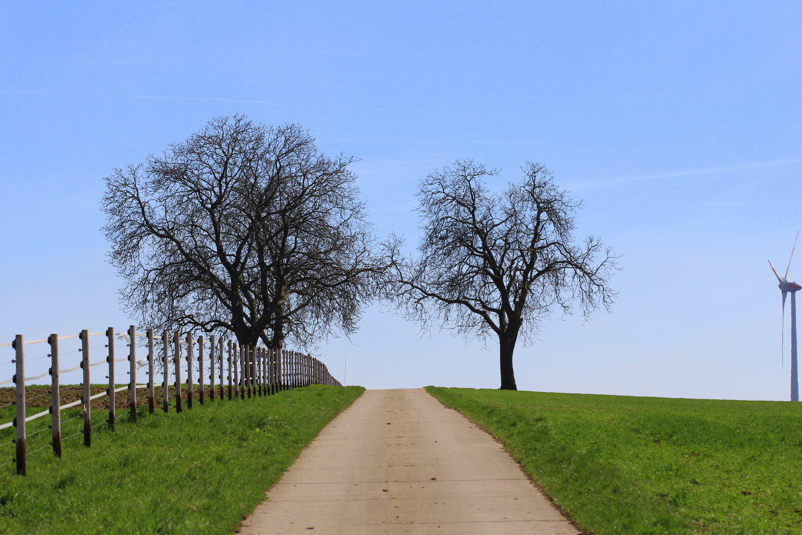 Der Weg zum Horizont