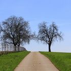 Der Weg zum Horizont