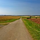 Der Weg zum Horizont