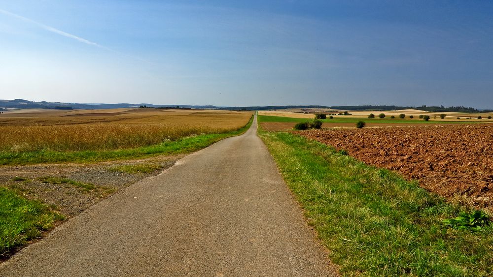 Der Weg zum Horizont